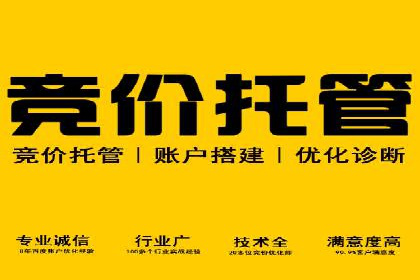 成功案例揭秘：如何进行高效的信息流广告优化